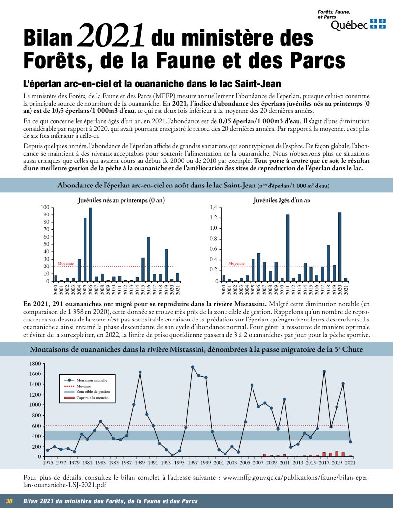 p30_Rapport MFFP